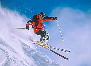 mountain-skis